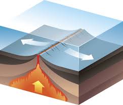 <p>Divergent Boundary </p>
