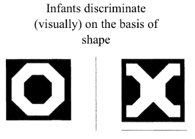 <p>Yes; infants discriminate(visually) shape info without any experience, even when the stimuli (i.e. color and position) are very comparable</p>