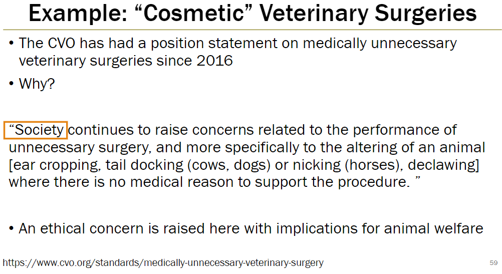 <p><strong>CVO Position</strong><br> Since 2016, the College of Veterinarians of Ontario has had a position on medically unnecessary veterinary surgeries</p><p><strong>Reason</strong><br> Society raises concerns about unnecessary surgeries that alter animals without medical justification<br> Examples include ear cropping, tail docking (cows, dogs), nicking (horses), and declawing</p><p><strong>Ethical Concern</strong><br> Procedures have implications for animal welfare</p>