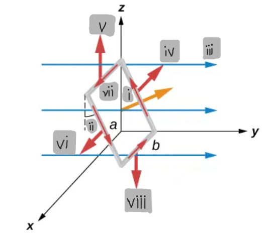 <p>(i)</p>