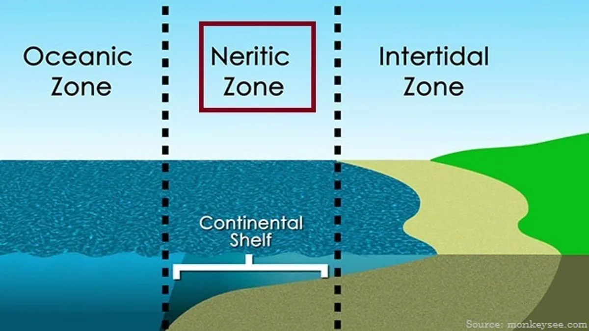 <p>shallow part of the continental margin</p><ul><li><p>gently sloping</p></li><li><p>covered in sediments</p></li></ul><p></p>
