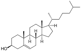 <p><strong>Cholesterol </strong></p>