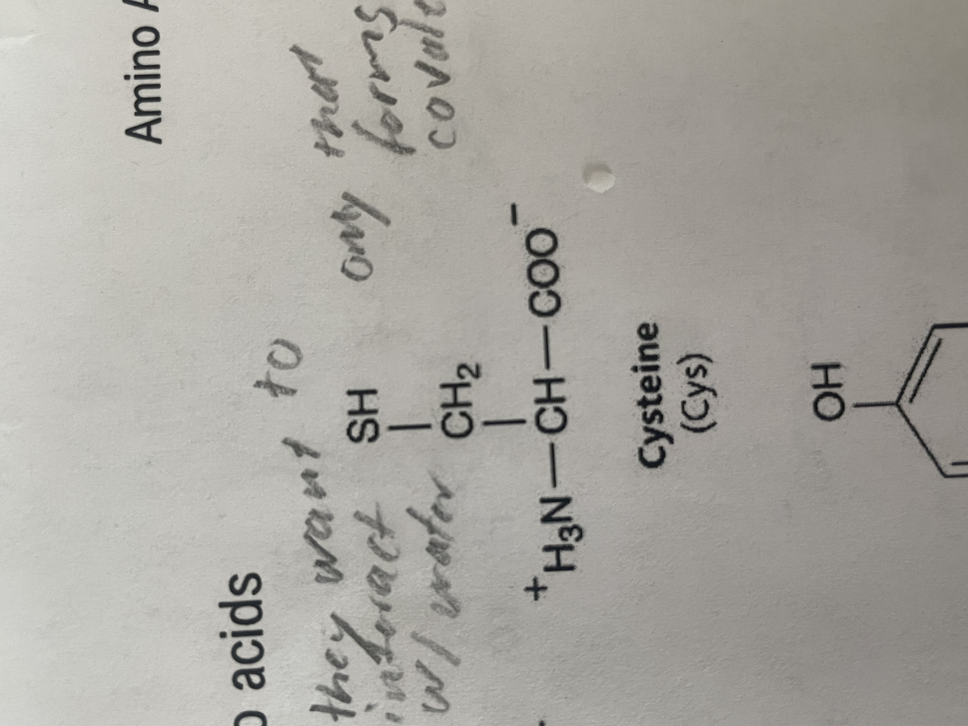<p>polar (hydrophilic), contains a sulfur side chain </p>