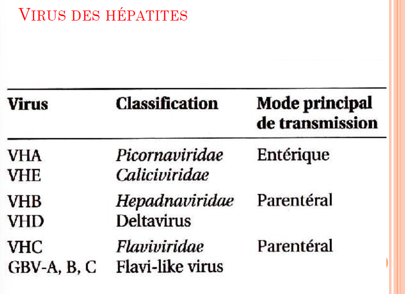 <p>Virémie secondaire</p><p>→ Herpesviridae, arbovirus (fièvre jaune), arenavirus (fièvre de Lassa), Filovirus (Ebola, …)</p><p></p><p>Virémie primaire</p><p>Virus d’ Hépatite A , B , C , D , E (et G)</p><p></p><p>Clinique =</p><ul><li><p>Variabilité du temps d’incubation</p></li><li><p>Même tableau clinique =</p></li></ul><p>Forme majeure (fulminante) ou mineure (abortive, voire inapparente)</p><p>3 phases:</p><ul><li><p>pré-ictérique (4-7 jours): troubles digestifs, asthénie, rash et arthralgies</p></li><li><p>Ictériques (8-30 jours): ictère, oligurie, décoloration des selles</p></li><li><p>Convalescence : crise urinaire et fatigabilité</p></li></ul><p></p><p>DEUX VOIES DE TRANSMISSION:</p><ul><li><p>Voie oro-fécale → Hépatites A et E => non enveloppés</p></li><li><p>Voie parentérale → Hépatites B, C, D, G => enveloppés</p></li></ul><p></p><p>Physiopathologie =</p><ul><li><p>Lésions nécrotiques de cellules hépatiques (par une lyse nécrotique lié au cycle virale OU par réponse immunitaire)</p></li><li><p>Infiltration lymphomonocytaire</p></li></ul><p></p>