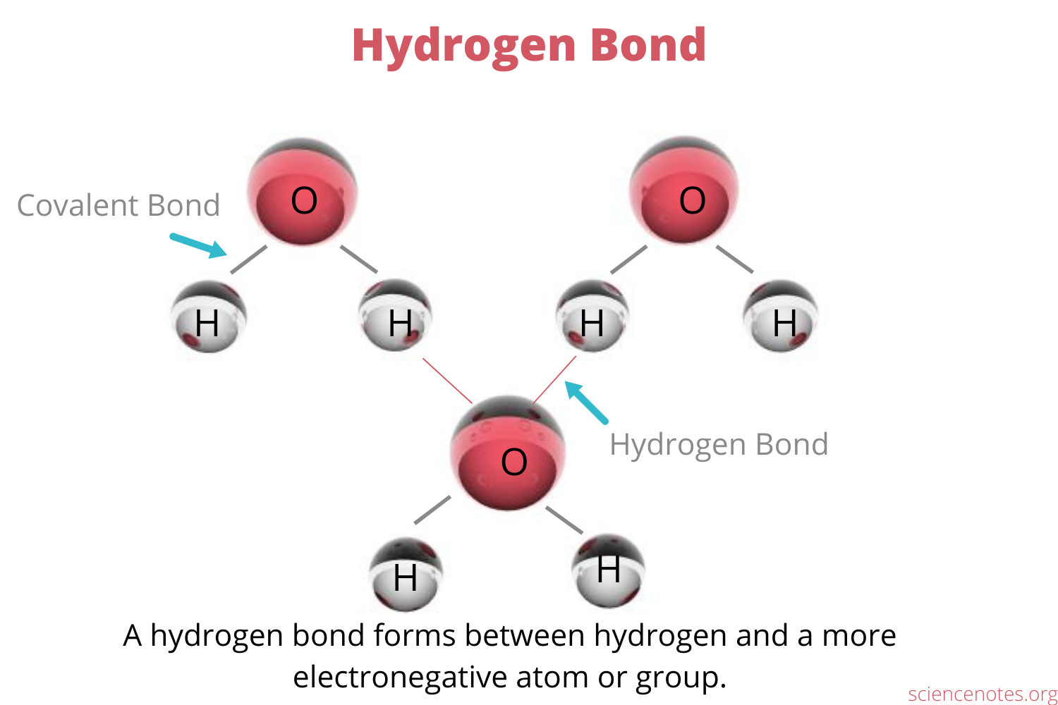 <ul><li><p>An unusually strong dipole-dipole force between a hydrogen atom attached to a highly electronegative atom (N, O or F) and a highly electronegative atom in another molecule</p></li><li><p><span>Molecules that have X-H covalent bonds can </span><em><span>donate </span></em><span>and </span><em><span>accept </span></em><span>H-bonds, but molecules that have an X atom not covalently bound to H can only </span><em><span>accept </span></em><span>H-bonds</span></p><ul><li><p>X = variable for other elements</p></li></ul></li></ul>