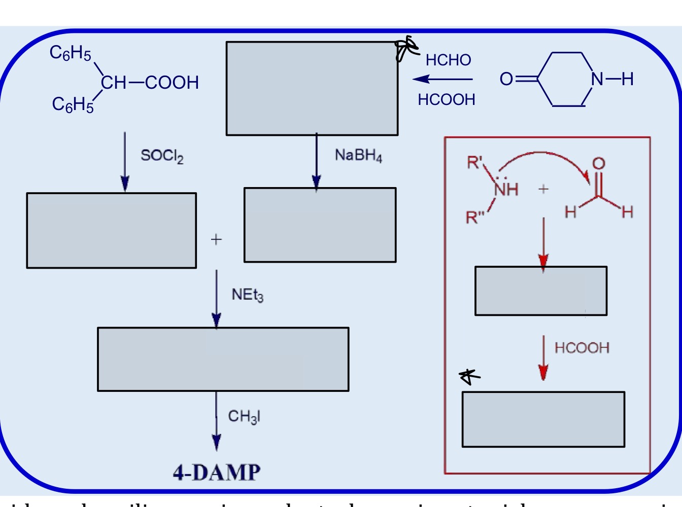 <p>Sintesi del 4-DAMP</p>