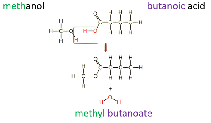 <ul><li><p>Remove the -anol from the alcohol and replace it with -yl</p></li><li><p>Remove the -oic acid from the carboxylic acid and replace it with -oate</p><p></p></li></ul><p></p>