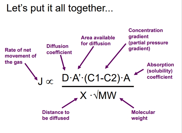 <ul><li><p></p></li></ul><p></p>