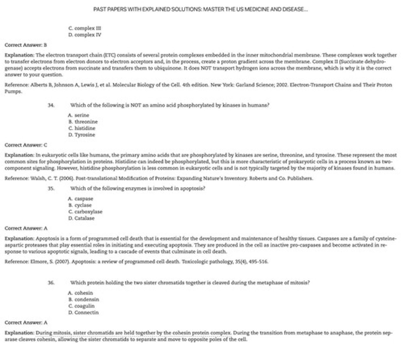 <p>Metabolic cycle producing CO2 from pyruvate.</p>