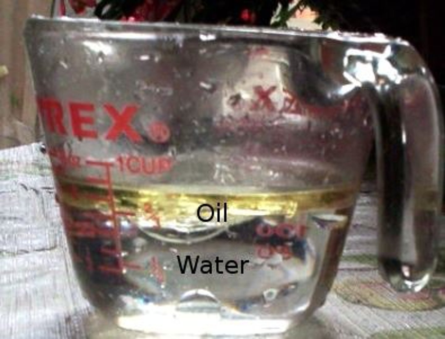 <p>incapable of being dissolved</p>