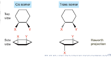 <p>image example</p>