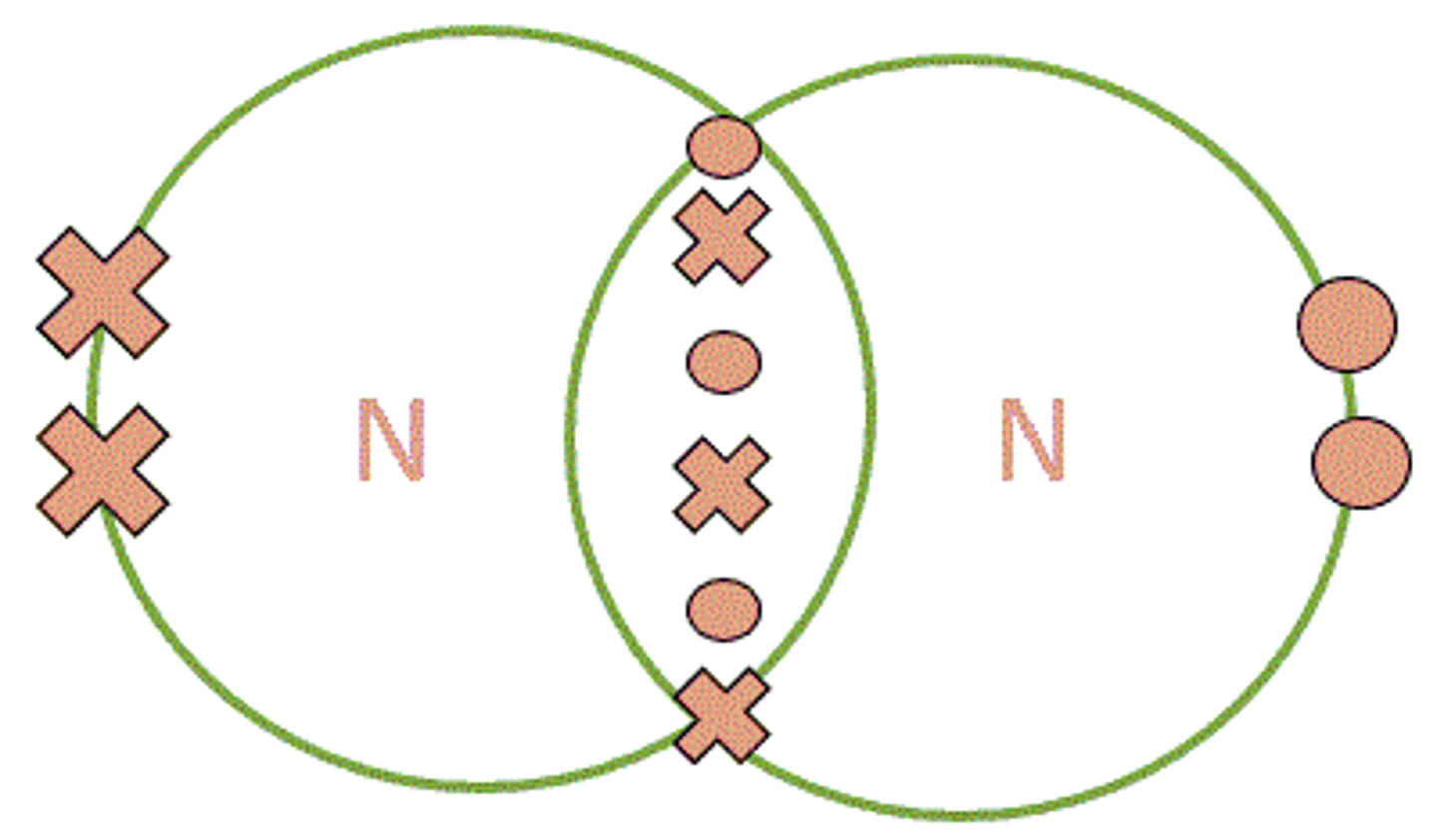 knowt flashcard image