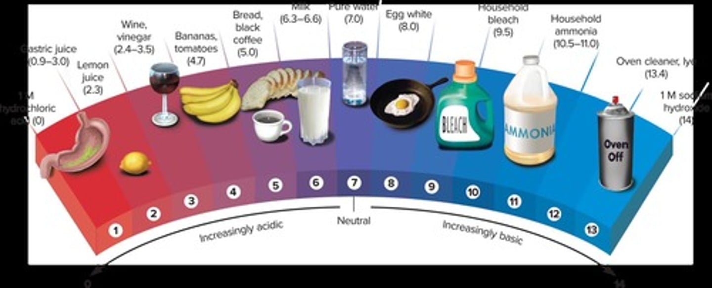 <p>Ranges from 0-14; levels below 7 are considered acidic, and above 7 are considered basic (alkaline).</p>