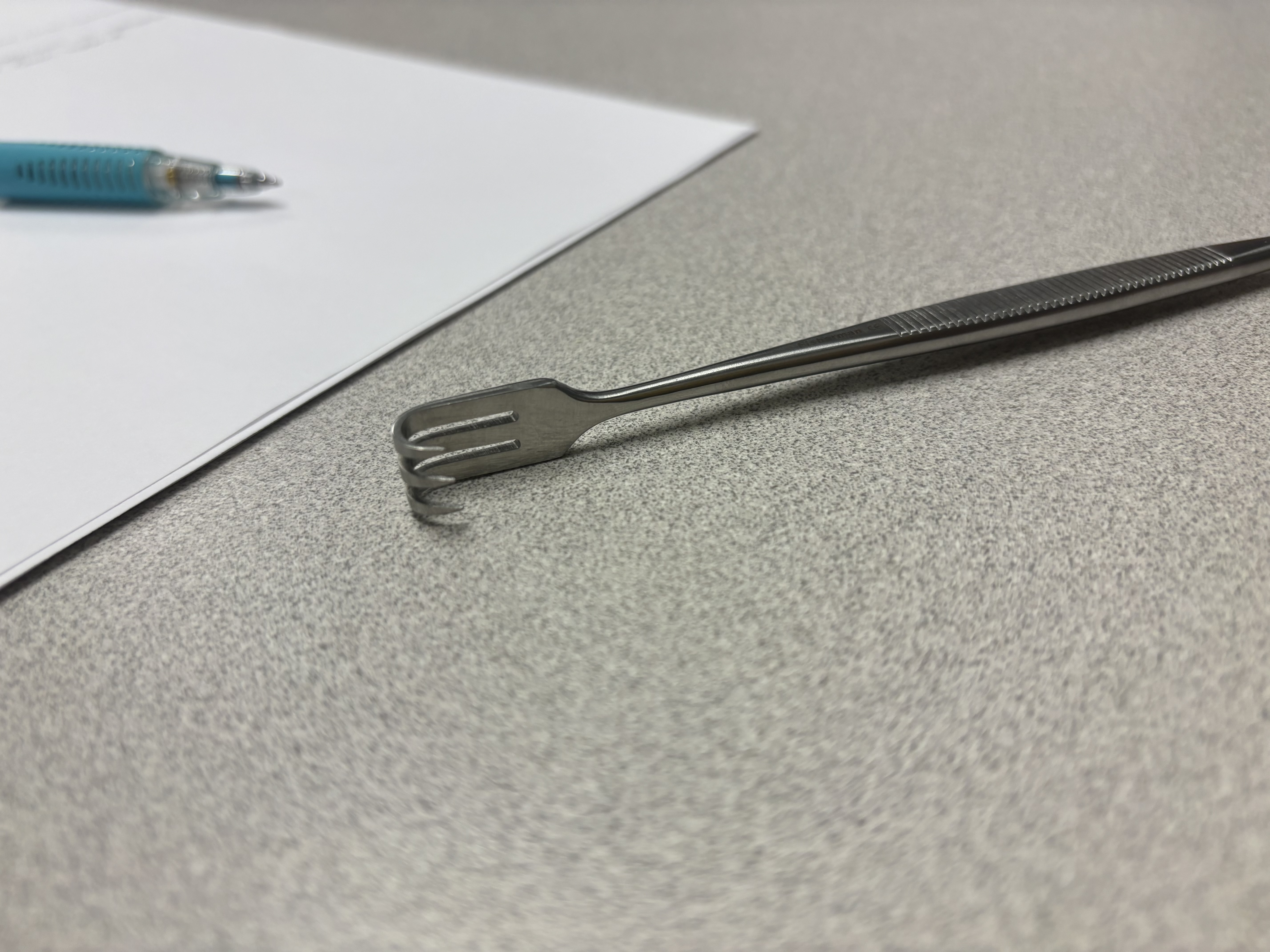 <p>Senns (sharp)</p>