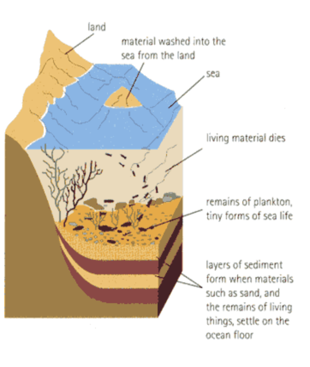 <p><span><strong>Sedimentary rocks</strong> are formed from other rocks that are broken into small particles and moved by erosion (wind or water)</span></p><ul><li><p><span>The particles are squeezed or cemented together&nbsp;</span></p></li><li><p><span>Rocks are layered</span></p></li></ul><p></p>
