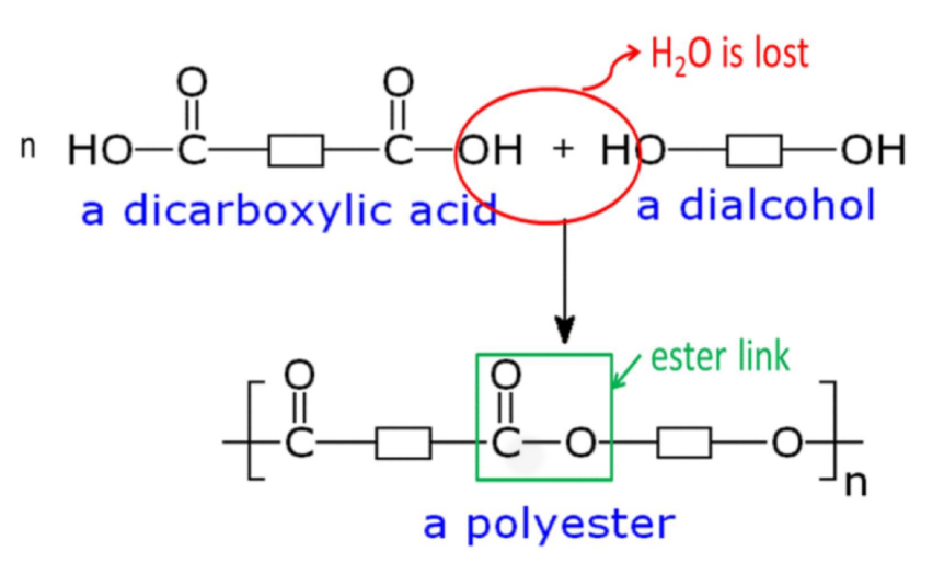 <ul><li><p>Diacic + diol</p></li><li><p>Diacyl chloride + diol</p></li></ul>
