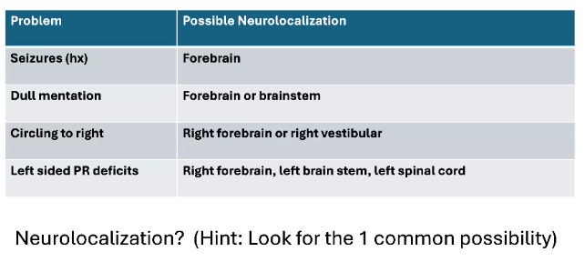 <p>What could be the 1 common possibility for neurolocalization of this lesion</p>