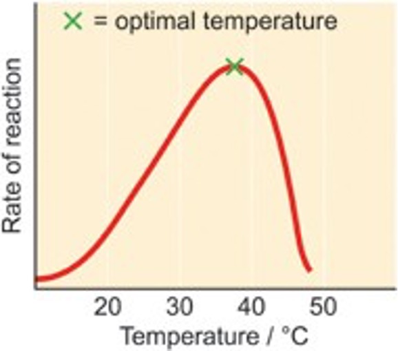 <p>Temperature</p>