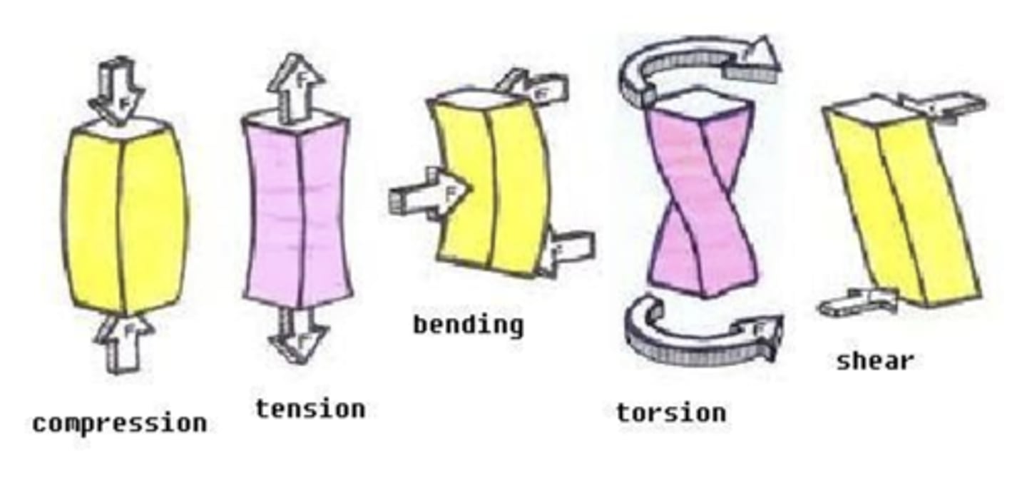 <p>Disruption in the continuity of a bone: </p><p>Causes: High compression, tension, shearing, bending, or torsion forces</p><p>which are bones best at resisting? </p>