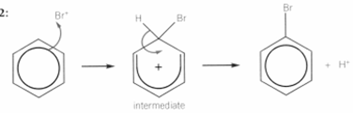 <p>step one Br2 + Febr3 --- Febr4- + Br+</p><p>step two</p><p>the catalyst polarise the halogen</p><p>- Br+ accept a pair of electrons from beneze ring for dative covalent bond</p><p>intermediate is formed bromozbene and H+</p><p>step 3</p><p>regeneration of FeBr4- + H+ --- Febr3 + Her</p>