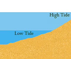 <p>the vertical difference in height between consecutive high and low waters over a tidal cycle</p>