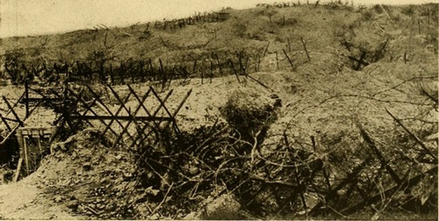 <p>1 million American soldiers fought in the final Allied offensive. Heavy German fire killed more than 100,000 Americans, but in the end, the Allies were victorious.</p>