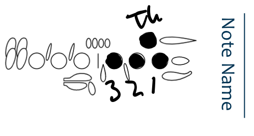 <p>C</p>