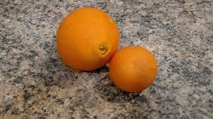 <p>Oranges xtra large navel</p>