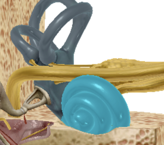 <p>what is highlighted </p>