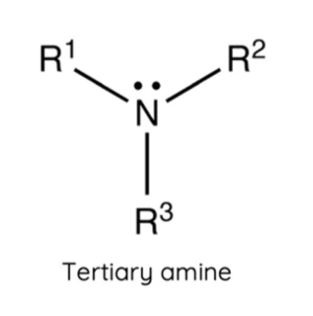 <p><span>A nitrogen atom bonded to </span><strong><span>three carbons.</span></strong></p>