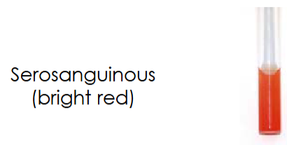 <p><span style="font-size: calc(var(--scale-factor)*39.96px)">Abdominocentesis</span><br>Colours</p><p>What does this mean?</p>