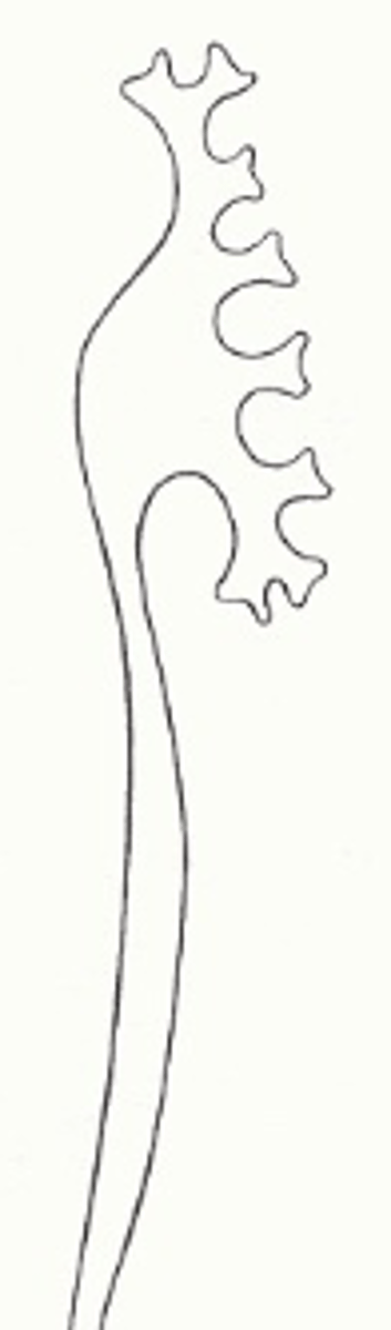 <p>Welke graad reflux wordt beschreven: milde caliciële dilatatie</p>