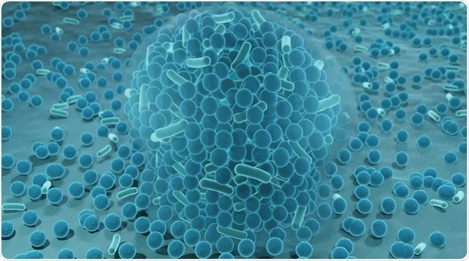 <p><span><span>Colonies of bacteria that adhere to eachother and adhere to environmental surfaces.</span></span></p>