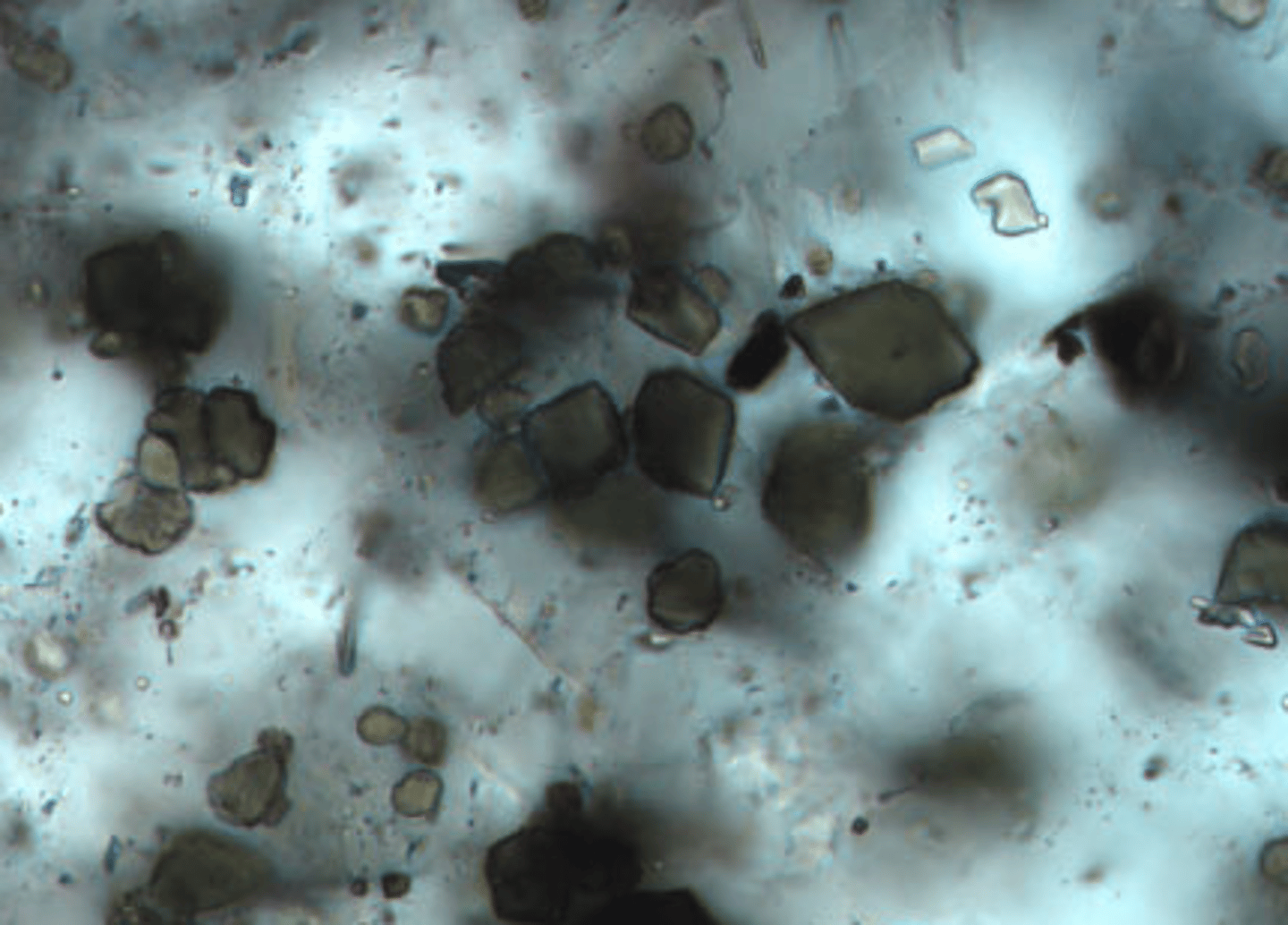 <p>Associated with corundum in some emery.<br>Also found with andalusite, sillimanite, and garnet.</p>