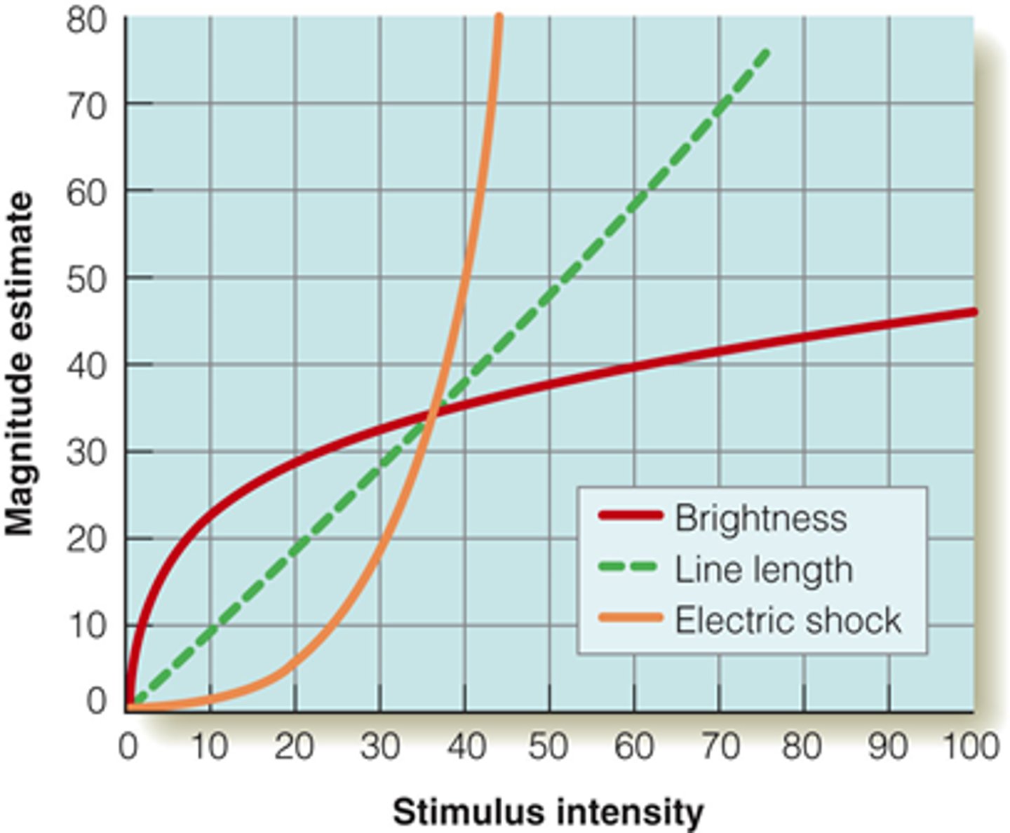 <p>- ψ(I) = k*Ia</p><p>- ψ(I) is the subjective magnitude of the sensation evoked by the stimulus</p><p>- I is the magnitude of the physical stimulus</p><p>- k is a proportionality constant that depends on the units used</p><p>- a is an exponent that depends on the type of stimulation</p><p>- brightness has a smaller exponent (&lt;1) = compresses sensation</p><p>- electric shock has a larger exponent (&gt;1) = amplifies sensation</p><p>problems: exponent seems to change with every detail, the relationship usually breaks down for extreme value</p>