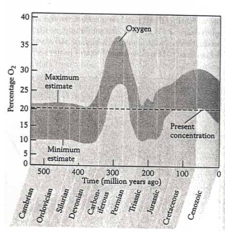 <p>There was a positive shift in delta13C. There was a development of vascular plants that created a new way of fixing carbon. increasing plants, resultisn in increase oxygen levels. </p><p>There was more burial of organic matter, increased free oxygen, and worldwide triassic redbeds. Much of the worlds coal deposition was just before this event due to the increase in burial of organic matter. </p>