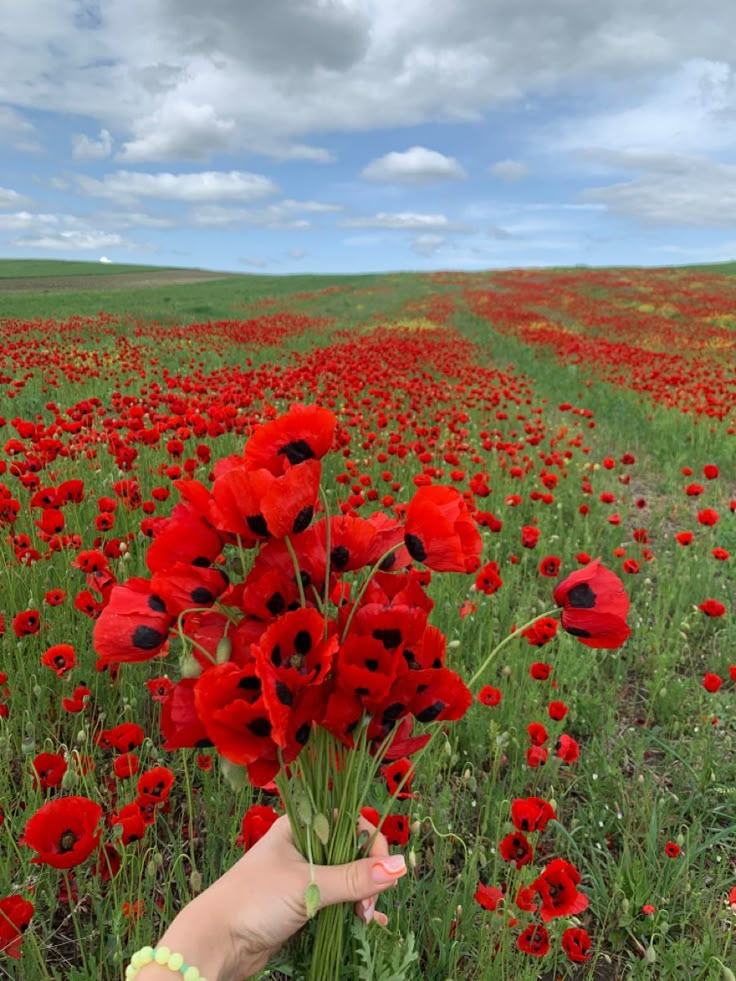 <p>Poppies by Jane Weir</p>