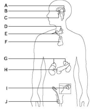 <p>what is C?</p>