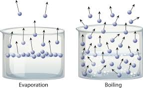 <ol><li><p>Evaporation - Sun adds kinetic energy to molecules at the top of water, causing them to move faster, break attractive forces, and become a gas</p></li><li><p>Boiling - Heat is added directly. Gas forms within the liquid, then escapes</p></li></ol><p></p>