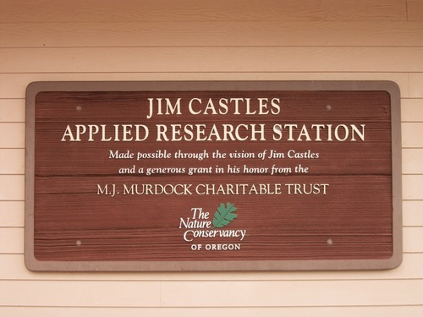 <p>Research undertaken to solve a specific problem, like pollution, drunk driving smoking, etc.</p>