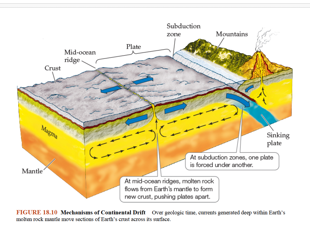 <p>Figure 18.10- Mechanisms of Continental Drift </p>