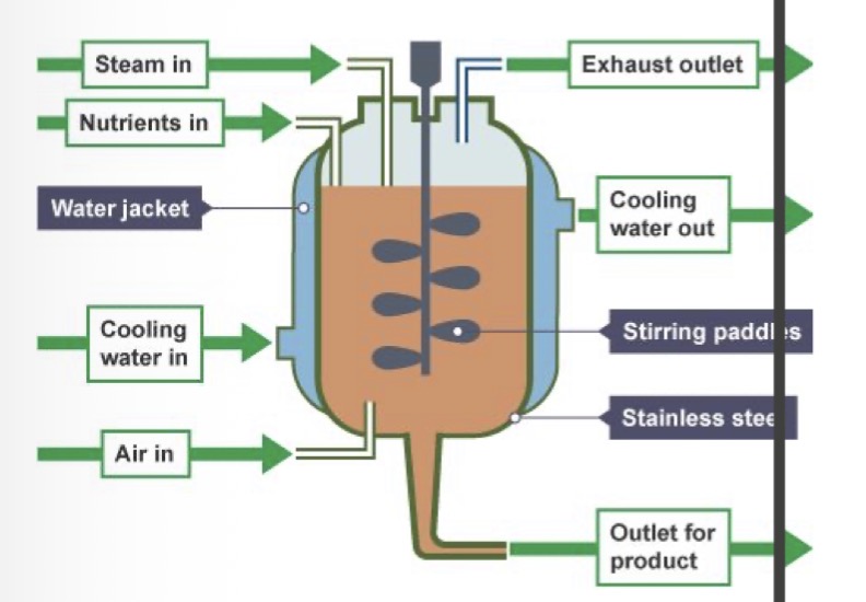 <ul><li><p>aseptic conditions to ensure no other microorganism grows and contaminates</p></li><li><p>Nutrients for organism to use in respiration </p></li><li><p>Optimum temp and pH for enzymes</p></li><li><p>Agitation by stirring paddles is required to ensure nutrients, oxygen, temp, pH and microorganisms are distributed evenly</p></li></ul><p></p>