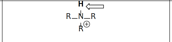 <p>Protonated Amines</p>