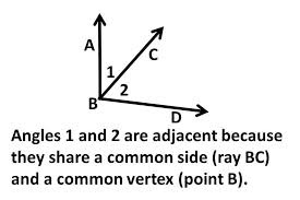 Angles that have a common side and a common vertex (corner point).