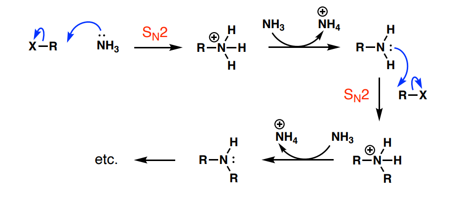 <p>the primary amine product is at least as nucleophilic as NH<sub>3</sub>, so it can also react with the alkyl halide</p>