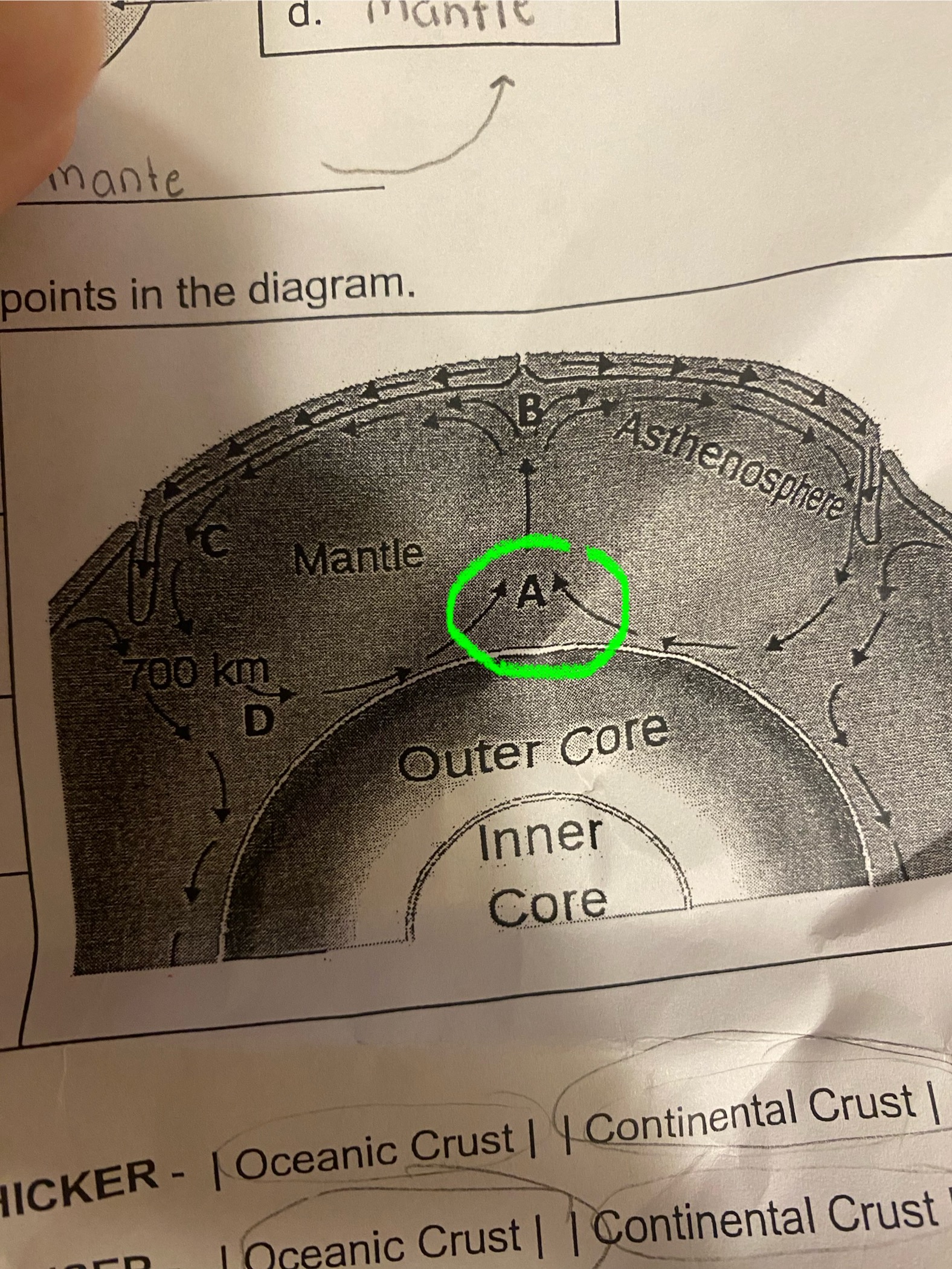 term image