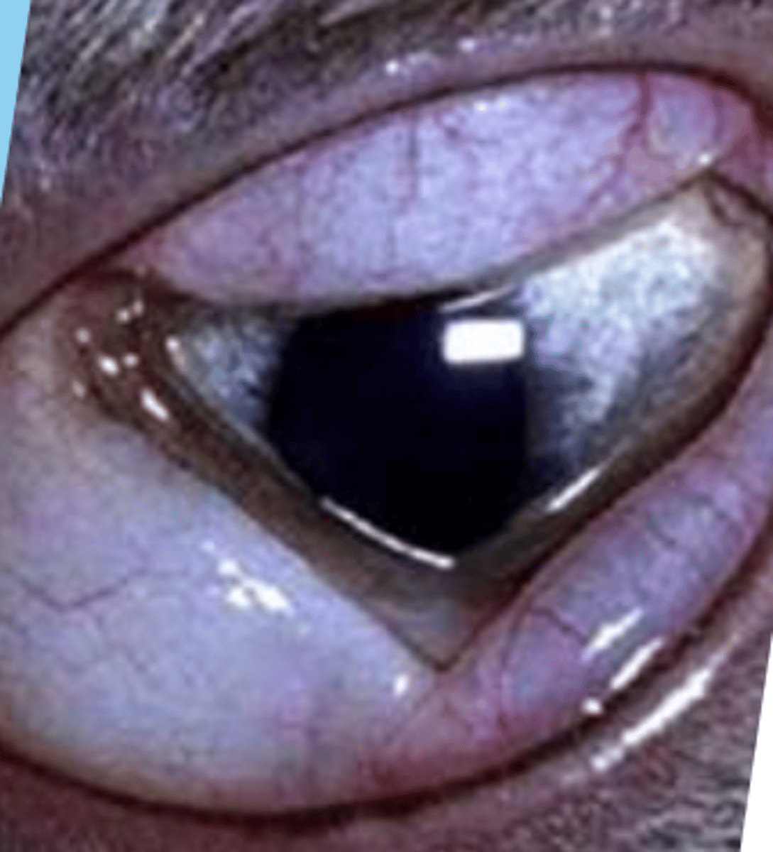 <p>what is this called?</p>