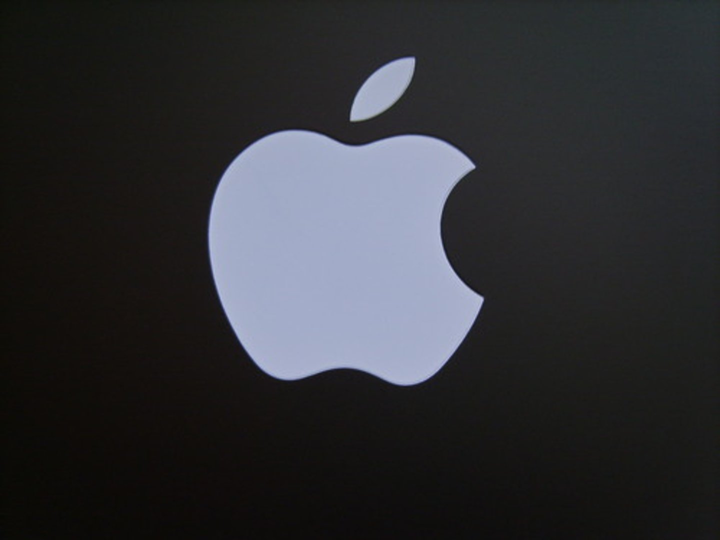 <p>company</p>