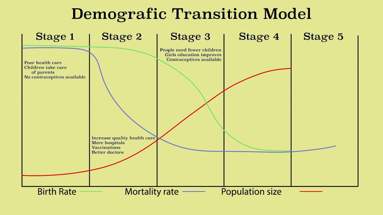 <p><span>a theory describing the historical shift in birth and death rates within a population,</span></p>