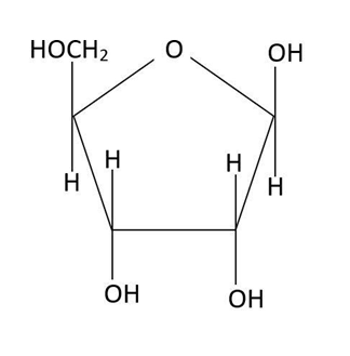 <p>pentose monosaccharide (5C) ring structure.</p>